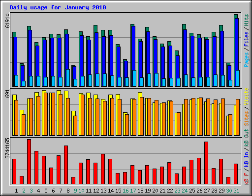 Daily usage for January 2010