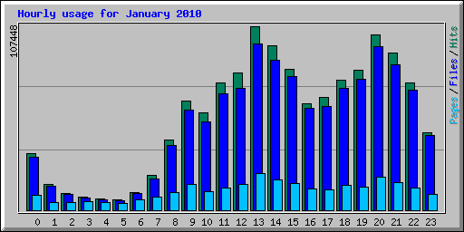 Hourly usage for January 2010